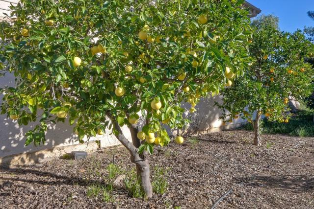 Detail Gallery Image 54 of 68 For 28521 Gladstone Ct, Escondido,  CA 92026 - 3 Beds | 3/1 Baths