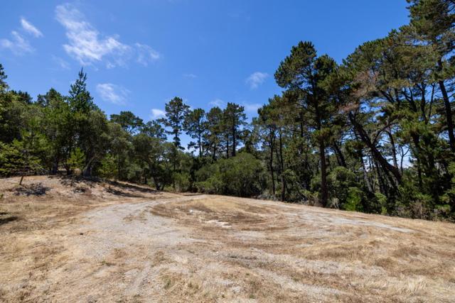 0 Paseo Venado (Lot 116), Monterey CA: https://media.crmls.org/mediaz/82411d2e-d802-4266-b4ed-b379b00e9e7c.jpg