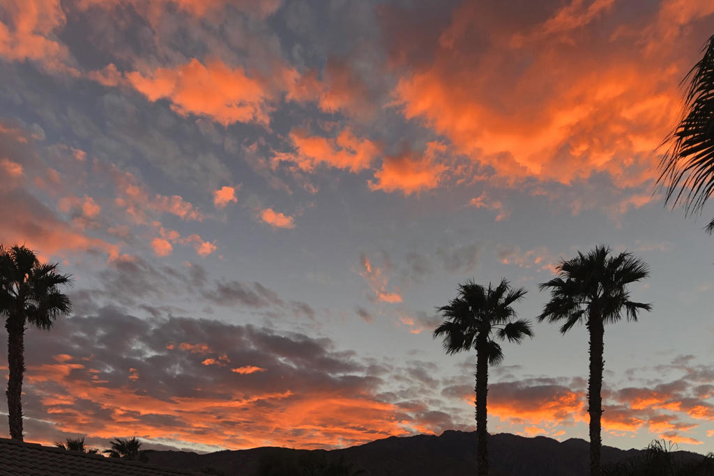 MLS #219135664PS image #34