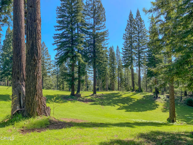 Detail Gallery Image 1 of 49 For 13740 Peregrine Rd, Boonville,  CA 95415 - – Beds | – Baths