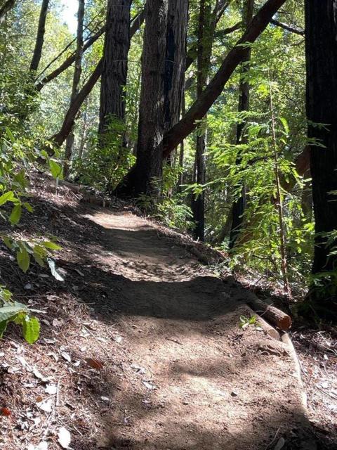 510 Warren Drive, Santa Cruz CA: https://media.crmls.org/mediaz/82454456-815f-4b5e-b091-09faee272022.jpg