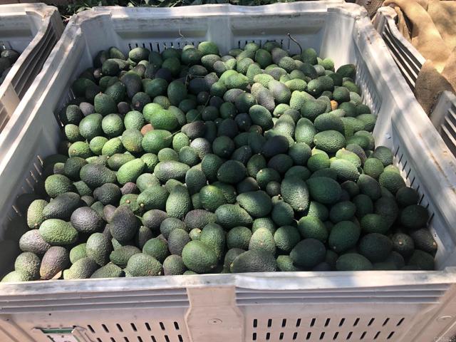 Image 70 of 75 For 3137 Valley Parkway