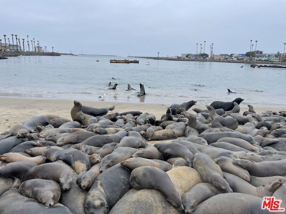 https://media.crmls.org/mediaz/825333d0-8db4-4974-a778-de50aaf92fb6.jpg?preset=X-Large