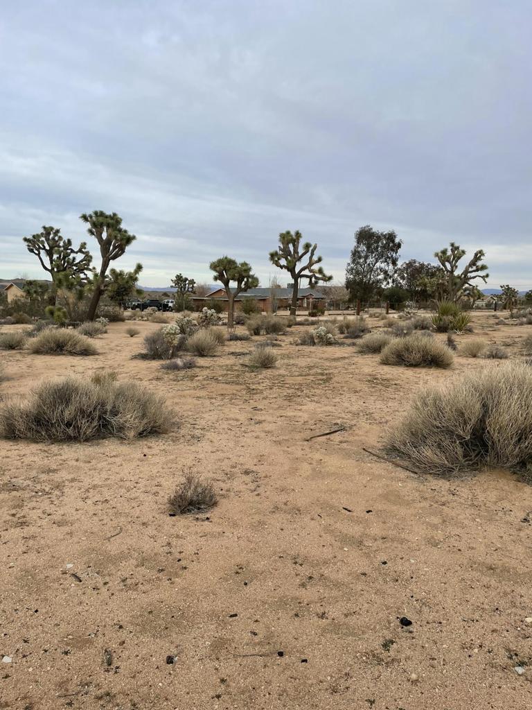 MLS #219145913DA image #25