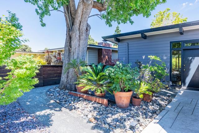 582 Morse Avenue, Sunnyvale CA: https://media.crmls.org/mediaz/825d2cb2-60a8-4853-995e-1742d3899399.jpg