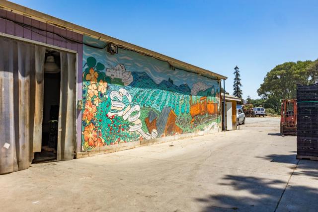 250 Old Chittenden Road, Watsonville CA: https://media.crmls.org/mediaz/82642f23-5392-4351-89ce-b32c76e4f192.jpg
