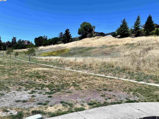 276 Galano Plz, Union City CA: https://media.crmls.org/mediaz/8267a43a-a324-4519-9822-428dce9b26dd.jpg