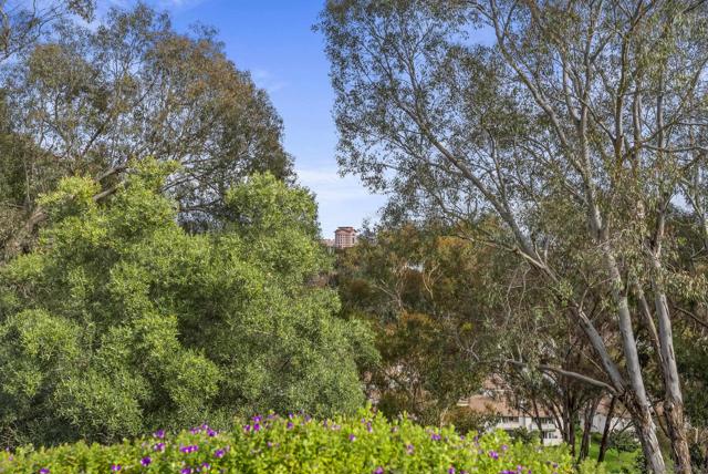 8871 Caminito Primavera, La Jolla CA: https://media.crmls.org/mediaz/826dec1b-042f-450b-b87f-4b9ac18a9e5b.jpg