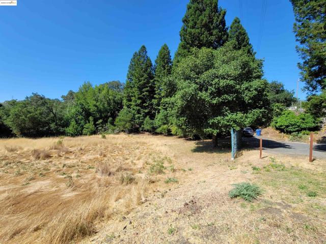 40 Hilldale Ct, Orinda CA: https://media.crmls.org/mediaz/8273845e-1479-4d4f-8415-d3375608af33.jpg