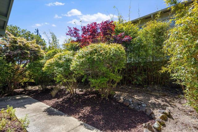 2310 Fleetwood Drive, San Bruno CA: https://media.crmls.org/mediaz/8273d382-675b-4d2e-96c4-fd127701f8e6.jpg