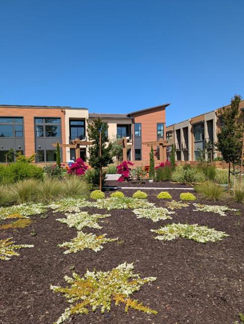 11210 Cottonwood Place, Saratoga CA: https://media.crmls.org/mediaz/82821962-7b3e-4bff-a991-1b6318f7d296.jpg