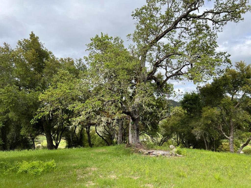 MLS #ML82007500 image #14