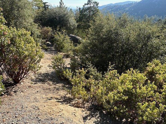 0 Howland Road, Idyllwild CA: https://media.crmls.org/mediaz/8289772e-cfa0-4232-87ba-98279cf4f71f.jpg