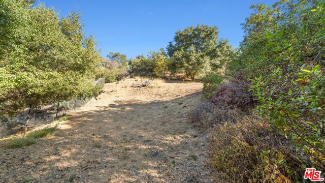 16645 Calneva Drive, Encino CA: https://media.crmls.org/mediaz/828b364e-90eb-4095-8d26-abe108602c2e.jpg