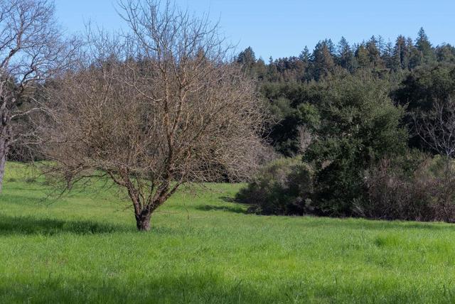 Image 9 of 20 For 6221 Graham Hill Road
