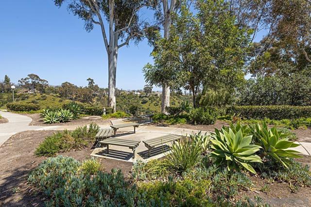 10828 Lamentin Ct, San Diego CA: https://media.crmls.org/mediaz/829b6116-26b0-413c-a487-e3d4a0868d46.jpg