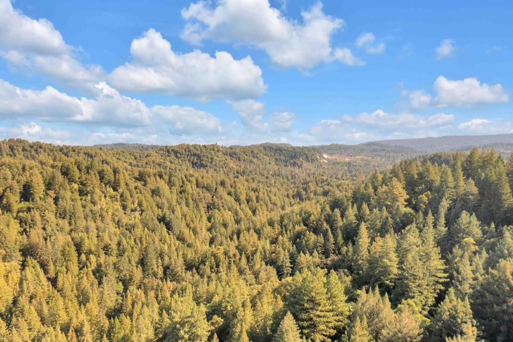 MLS #ML82021988 image #38