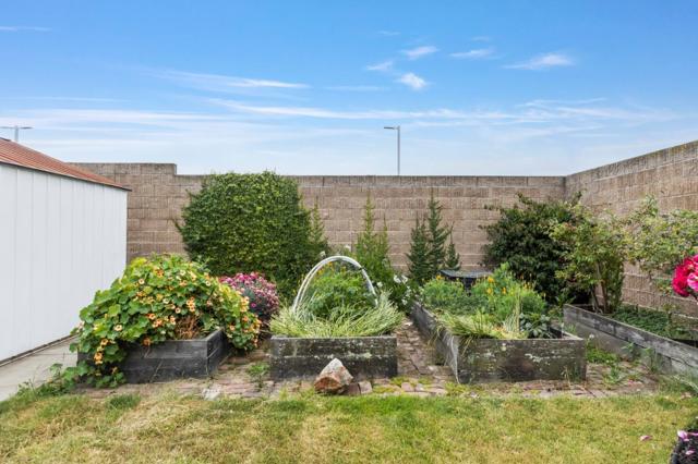 1291 Linton Street, San Leandro CA: https://media.crmls.org/mediaz/82d126ca-bad8-48b7-9c62-b600f9a00cf0.jpg