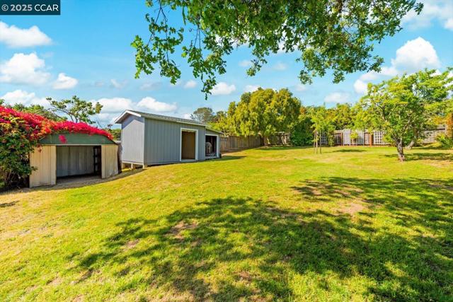 708 Pomona Ave, El Cerrito CA: https://media.crmls.org/mediaz/82d3a765-f5ac-42f2-955b-20c3ee1ada53.jpg