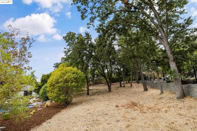 150 Santa Rita Dr, Walnut Creek CA: https://media.crmls.org/mediaz/82dc9df6-0a5b-4d85-bb37-4803d074ee28.jpg