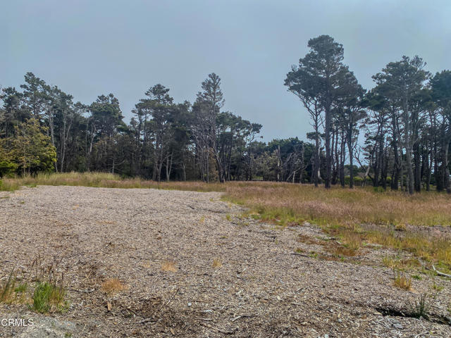 45465 Pacifica Drive, Caspar CA: https://media.crmls.org/mediaz/82dde2ca-364d-4389-9174-7f672eebd4dd.jpg