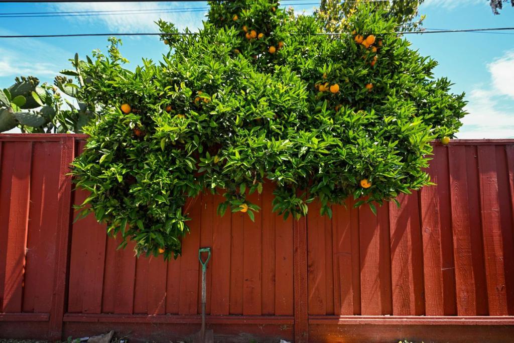 https://media.crmls.org/mediaz/82e003b4-7430-406e-aa15-4f97fbef0df1.jpg?preset=X-Large