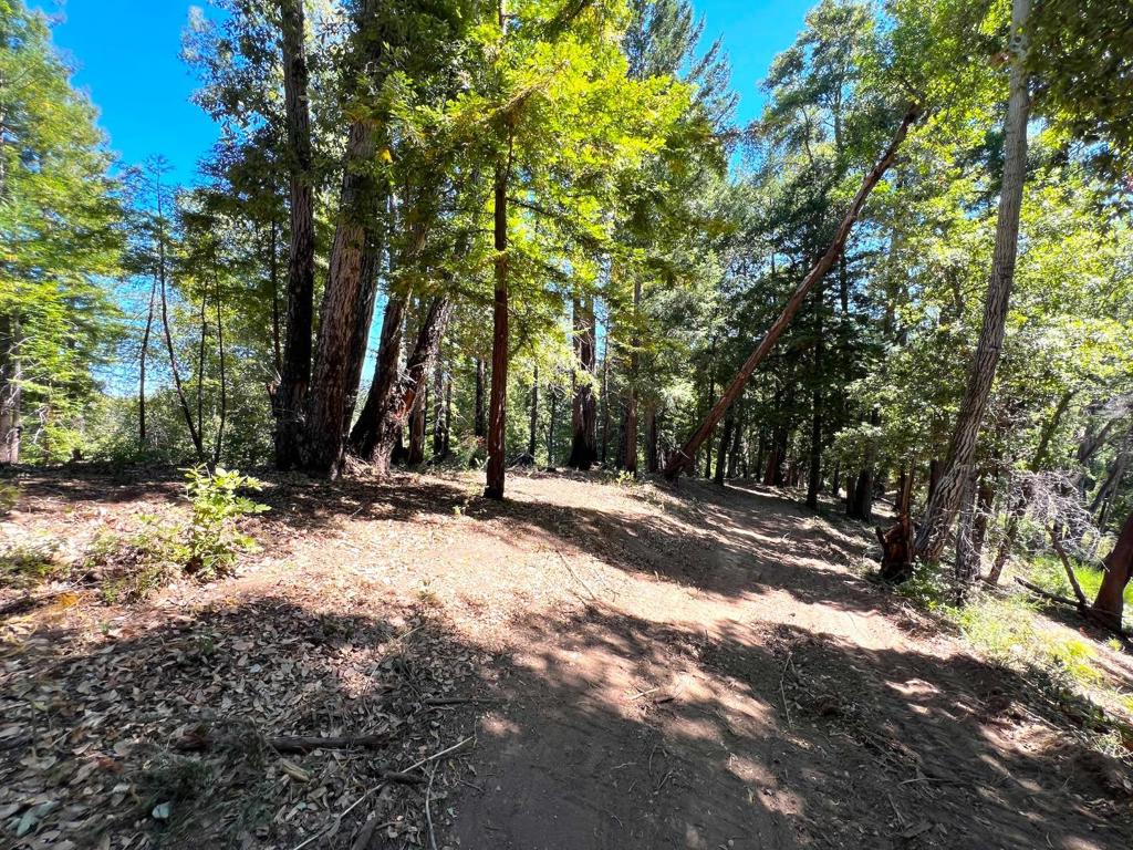 MLS #ML81973209 image #19