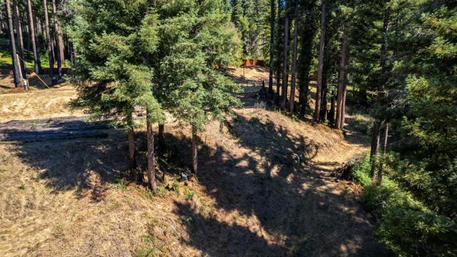 830 Kings Highway, Boulder Creek CA: https://media.crmls.org/mediaz/82e76340-2cea-4d20-b249-721670a0b10e.jpg
