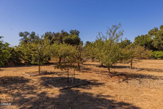 1288 S Rice Road, Ojai CA: https://media.crmls.org/mediaz/82e86dc5-7a70-4f72-9b19-49462a6003fe.jpg