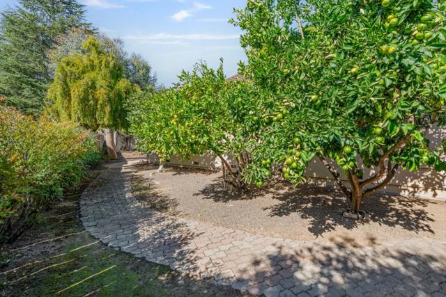 35 Rays Circle, Hollister CA: https://media.crmls.org/mediaz/82f49fae-56a8-4f2b-a899-f43f0dea6733.jpg