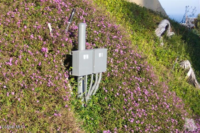 MLS #225001605 img 4