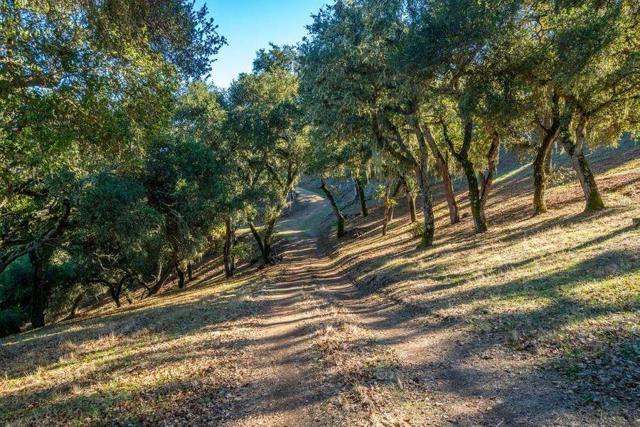 17114 Cachagua Road, Carmel Valley CA: https://media.crmls.org/mediaz/83049796-1be0-4041-a0b8-0f588660bbac.jpg