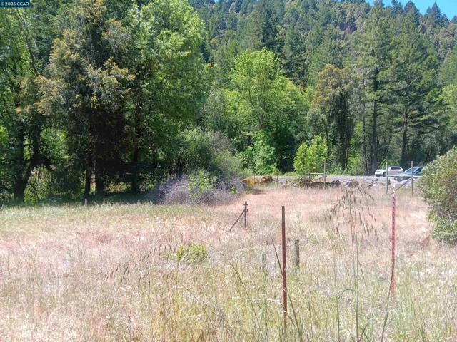 55855 Highway 101, Laytonville CA: https://media.crmls.org/mediaz/83079d97-f254-4d60-bf79-34eddb1fb001.jpg