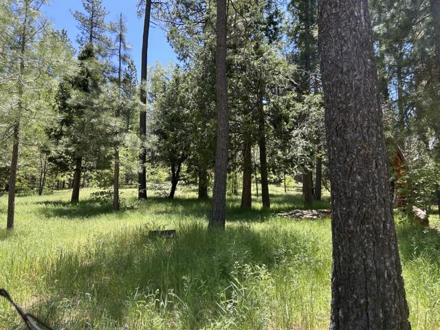 0 Tollgate Road, Idyllwild CA: https://media.crmls.org/mediaz/830f7fb8-36c7-44bf-b92e-44114c3ca5b8.jpg