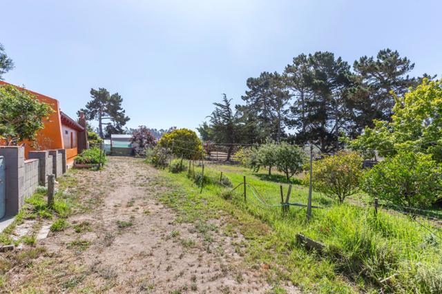 125 Springfield Road, Moss Landing CA: https://media.crmls.org/mediaz/8311ff81-80c7-4f2a-bd2a-b167f66c7516.jpg