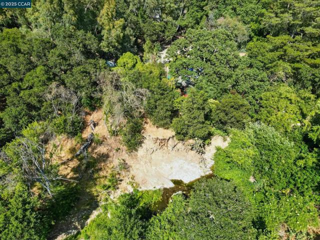 1491 Boulevard Way, Walnut Creek CA: https://media.crmls.org/mediaz/831e13e0-14de-4bef-af9d-3cb0c7a4733f.jpg