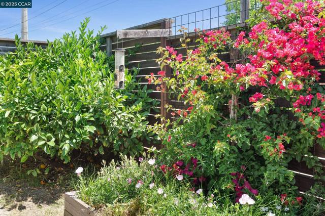 3020 Rose St., Martinez CA: https://media.crmls.org/mediaz/8320d1e1-b4a3-4ad2-9b45-098ee48650a6.jpg