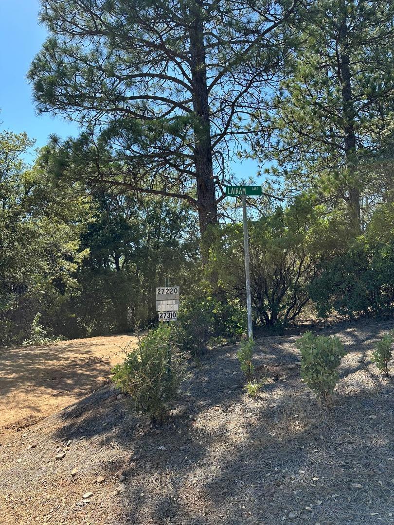 MLS #ML81974509 image #13