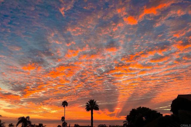 Detail Gallery Image 42 of 45 For 1839 Freda Ln, Cardiff By The Sea,  CA 92007 - 5 Beds | 4 Baths