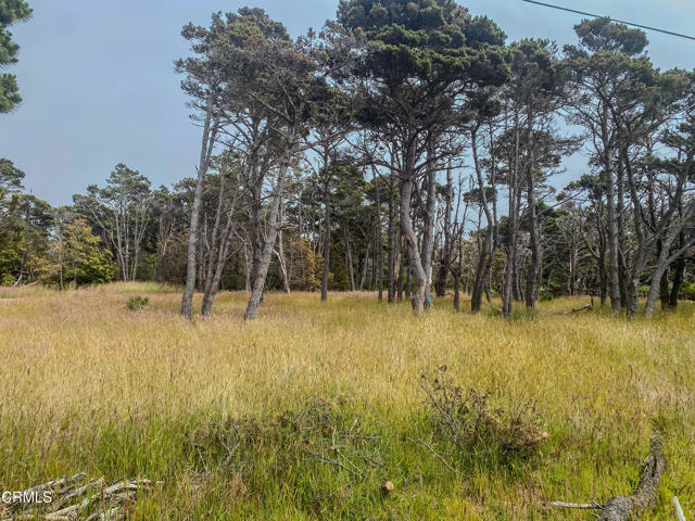 45465 Pacifica Drive, Caspar CA: https://media.crmls.org/mediaz/8328a693-9b45-4c36-a45a-2a2958b758c9.jpg