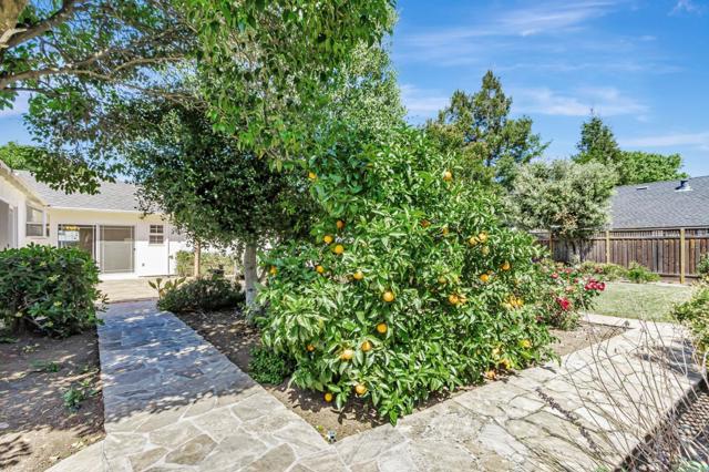 14555 Nelson Way, San Jose CA: https://media.crmls.org/mediaz/833248eb-a62f-47f2-af9a-d360bde5bef8.jpg