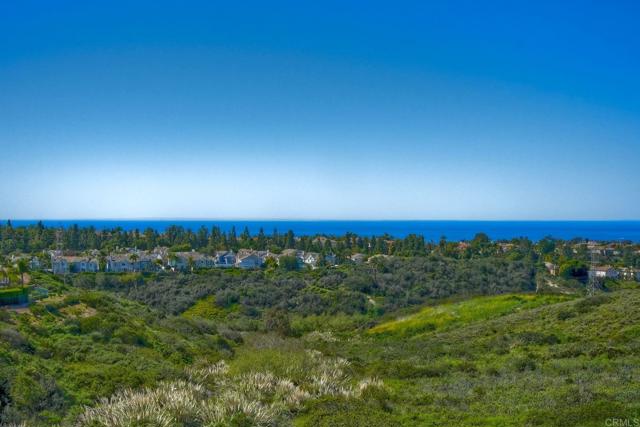 Detail Gallery Image 2 of 44 For 1535 Maritime Dr, Carlsbad,  CA 92011 - 4 Beds | 2 Baths