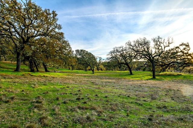 14 Vasquez Trail (Lot 181), Carmel CA: https://media.crmls.org/mediaz/8335e1f6-f9cc-46dd-9706-844f5c58aa88.jpg