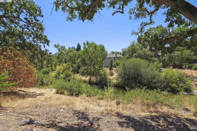 86 Candleston Place, Alamo CA: https://media.crmls.org/mediaz/83438afe-6cf5-4435-9877-0655431314f8.jpg