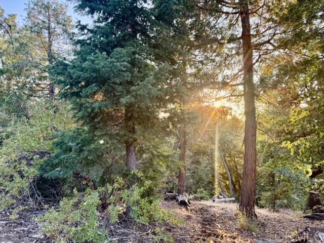 Detail Gallery Image 28 of 37 For 10 Acres Greenfield Way, Palomar Mountain,  CA 92060 - – Beds | – Baths