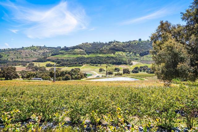 14224 Old Cole Grade Road, Pauma Valley CA: https://media.crmls.org/mediaz/834c510e-32bb-4ae8-9a6e-20182a3e3014.jpg