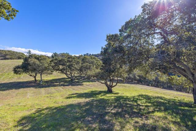 8425 Alta Tierra (Lot 66), Carmel CA: https://media.crmls.org/mediaz/834e1912-57df-4e3f-bf0b-7bfde12b297c.jpg
