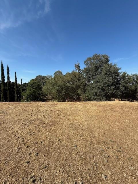 159 Mesa De Oro Circle, Sutter Creek CA: https://media.crmls.org/mediaz/835044da-cd52-43a7-9b99-b7f68ebdee7d.jpg