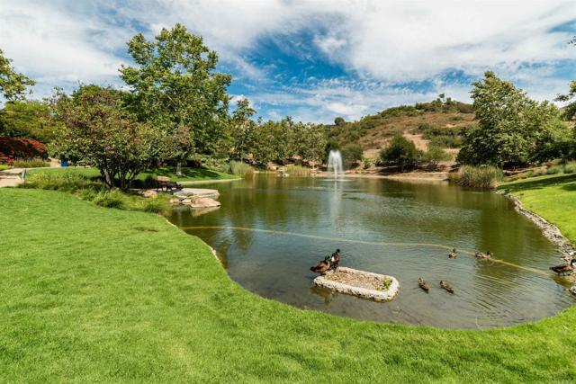 6851 Helenite Place, Carlsbad CA: https://media.crmls.org/mediaz/8355f68a-34a6-4e4d-a0c4-6b137a283dd7.jpg