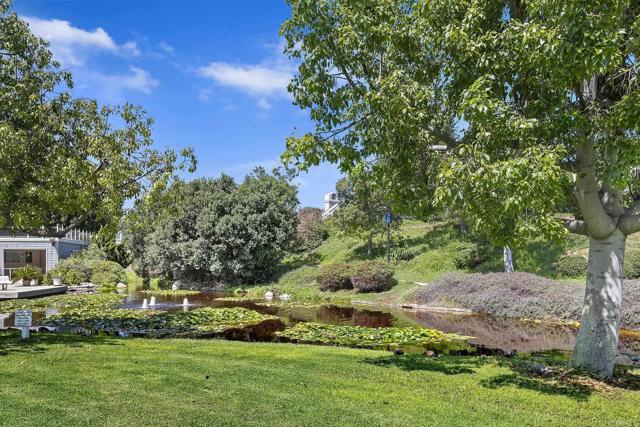 819 Daphne Court, Carlsbad CA: https://media.crmls.org/mediaz/835a1d64-dd62-4dcf-8dad-1d05f2e77f2e.jpg